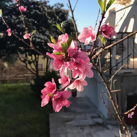 Bed & Breakfast Lemon House Cunda *