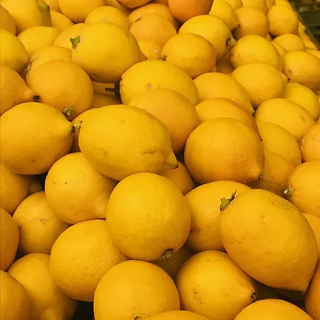 Lemon House Cunda Ayvalı