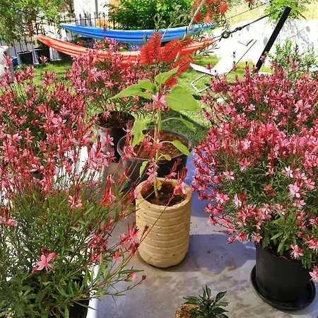 Lemon House Cunda * Ayvalı